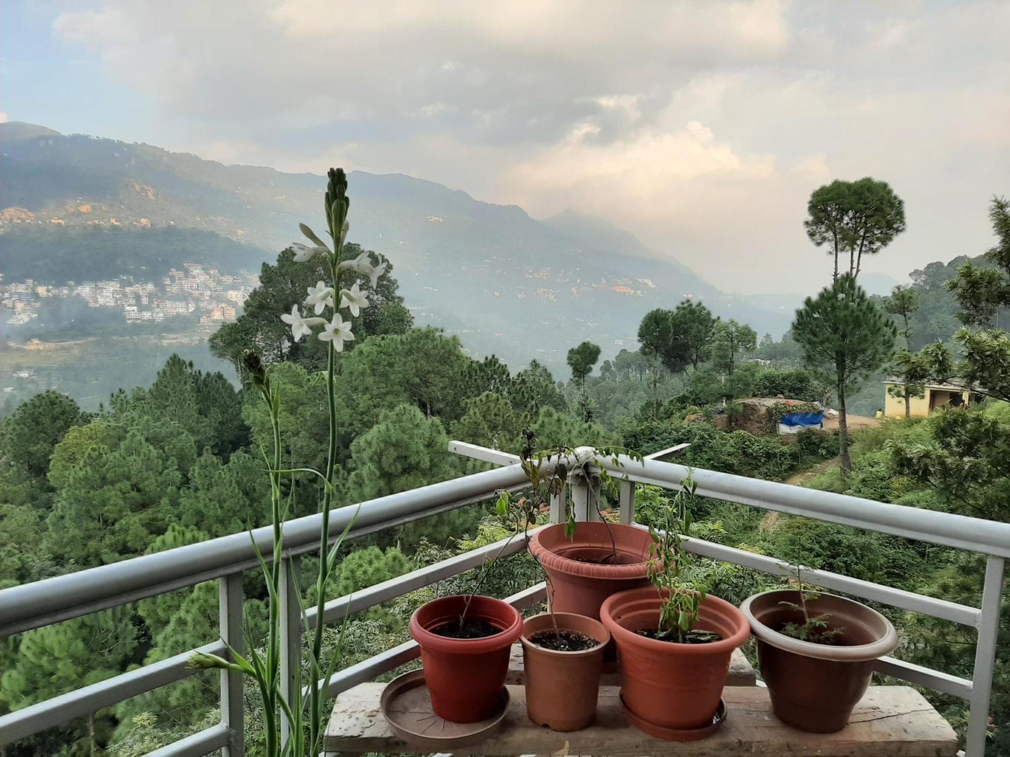 Vista Cottage Solan Ngoại thất bức ảnh